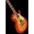 Harley Benton SC-450Plus CB Vintage Series