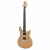 Harley Benton Electric Guitar Kit CST-24