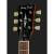Harley Benton SC-450Plus GT Vintage Series