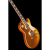 Harley Benton SC-450Plus GT Vintage Series