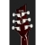Harley Benton CST-24HB Tortoise Flame