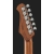 Harley Benton Fusion III HSH Roasted FBLB