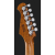 Harley Benton Fusion-IV HSS MN QRG
