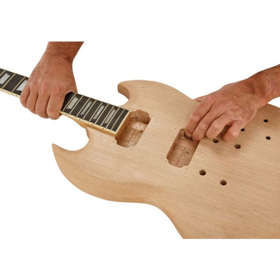 Harley Benton Electric Guitar Kit DC-Style