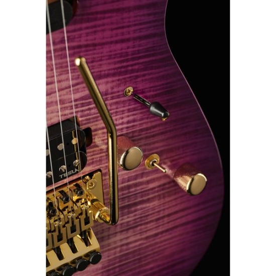 Harley Benton Guitar MAX Fusion Signature PF+Futerał LightCase