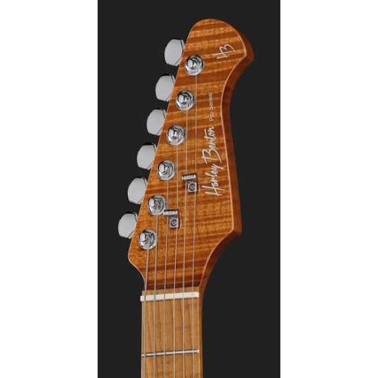 Harley Benton Fusion-IV HSS MN QRG