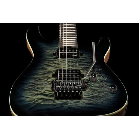 Harley Benton Fusion-IV HH RW FR WM