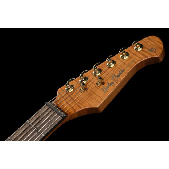 Harley Benton Fusion-IV HH RW PM
