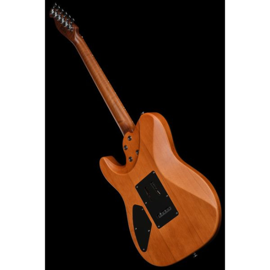 Harley Benton Fusion-T II HH MN SGR