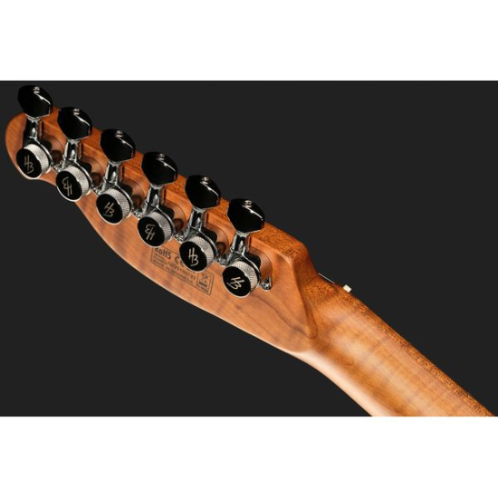 Harley Benton Fusion-T II HH MN HT SGR