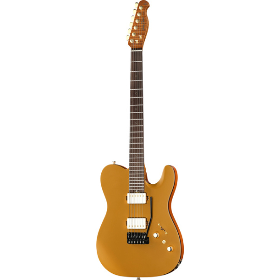 Harley Benton Fusion-T II HH RW HT SGD